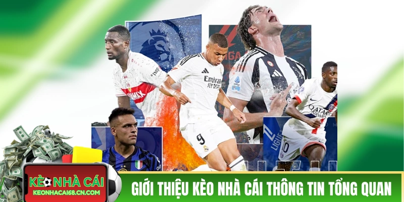 Giới thiệu Kèo Nhà Cái thông tin tổng quan