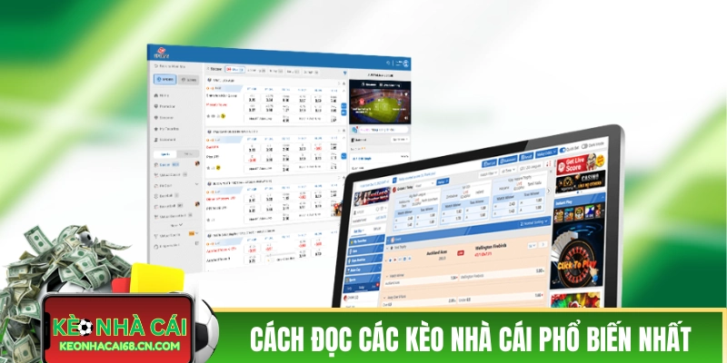 Cách đọc các kèo nhà cái hôm nay phổ biến nhất