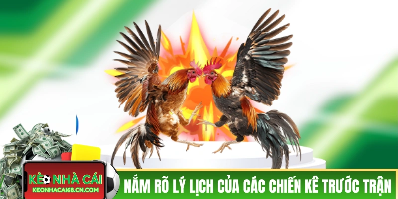 Nắm rõ lý lịch của các chiến kê trước trận